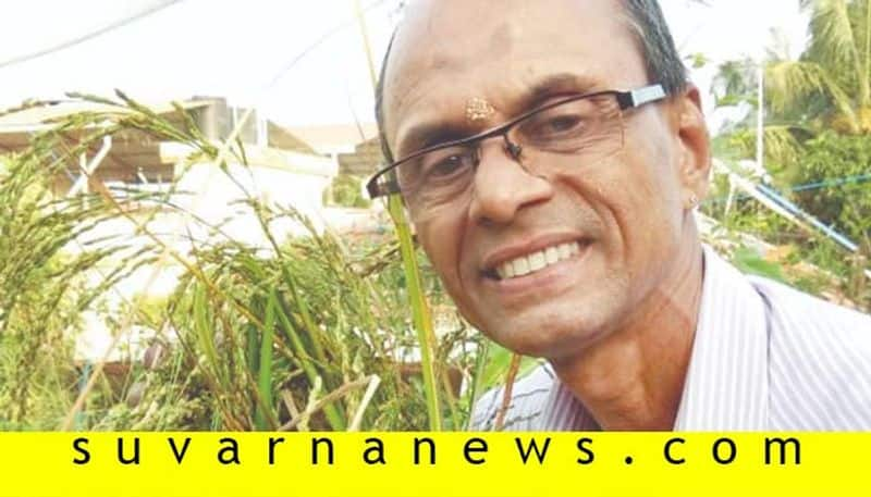 Mangalore farmer grows 50kg gandhasale rice in his terrace