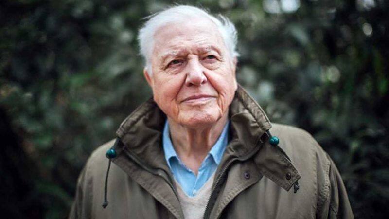 British naturalist David Attenborough to be awarded 2019 Indira Gandhi Peace Prize