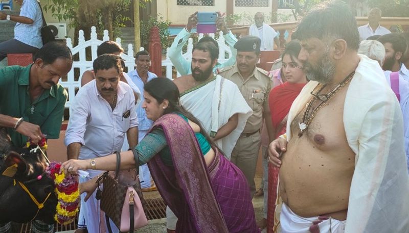 dk shivakumar gives cow to Sringeri temple