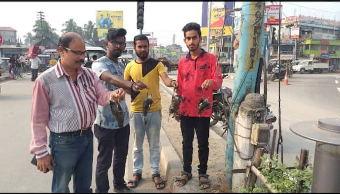 বিদ্যুৎস্পৃষ্ট  হয়ে শতাধিক পাখির মৃত্যু, পুরসভা ও বিদ্যুৎ দফতরের বিরুদ্ধে অভিযোগ দায়ের