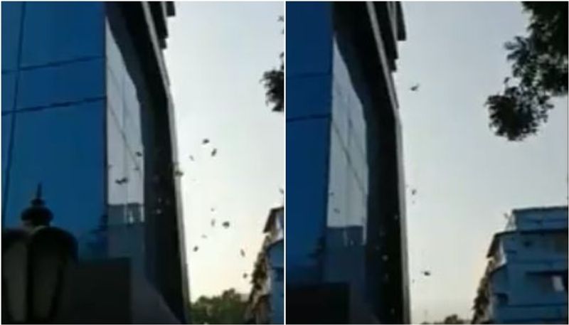 money thrown out from building in kolkata video