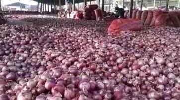 Onion will continue to add tempering to inflation for another day