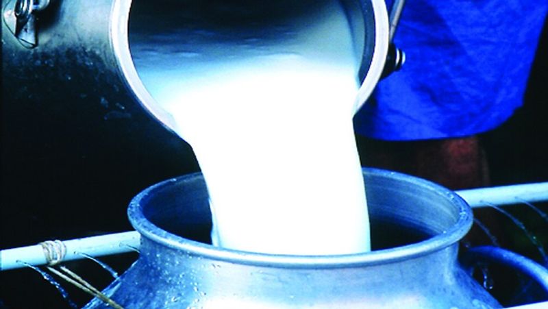 Milk producers to get Rs 2 more per litre from January