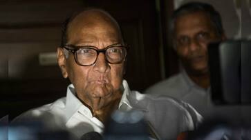 Sharad Pawar taunt on Rahul Gandhi, why he should stay in the country