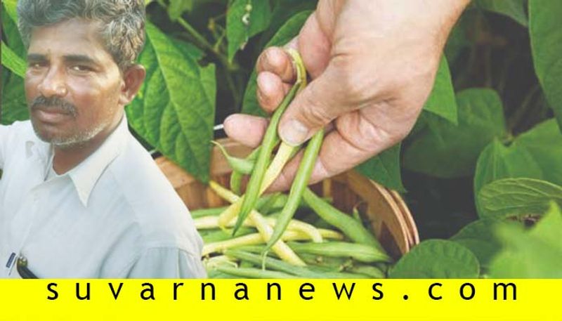 Farmer from bellary Beans profit story