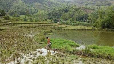 बड़े से घर में अकेला रहता है बच्चा, खुद उगाता है सब्जियां, खाना बना जाता है स्कूल