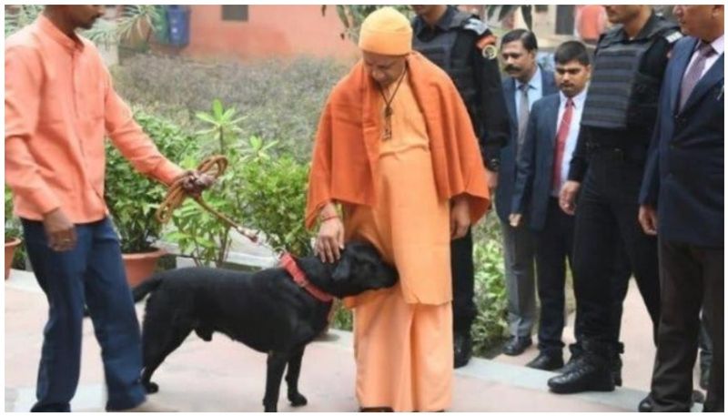 Yogi's pet Kalu sensational in social media