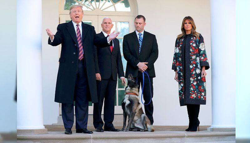 Donald Trump honours canine Conan who played crucial role in Baghdadi raid