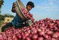 Government take important decision for onion prices, will the public get relief