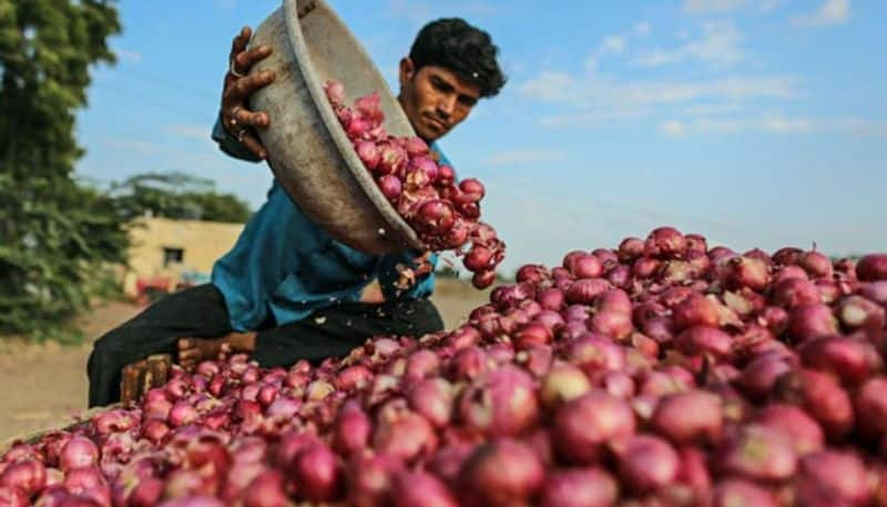 Farmers Happy for Onion price Rise in Gadag