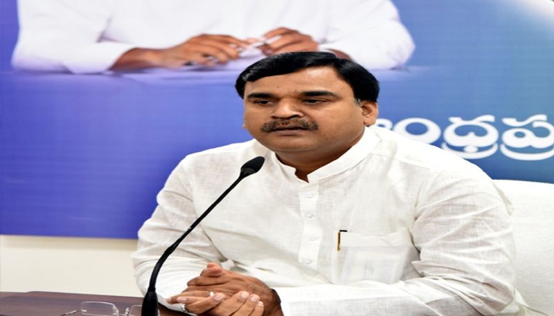 ap deputy cm amzath basha sensational comments on amaravati