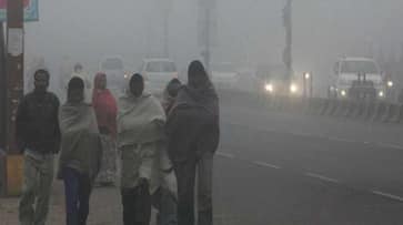 Delhi air quality remains in 'poor' category, AQI likely to deteriorate on December 3