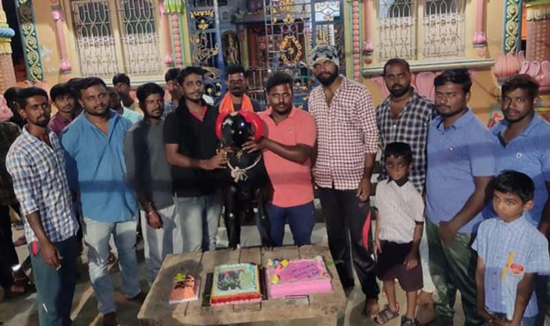 youth celebrate Goat birthday in davanagere