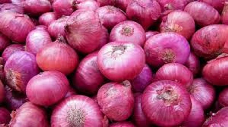 Egypt Onion Arrived At Hubballi APMC