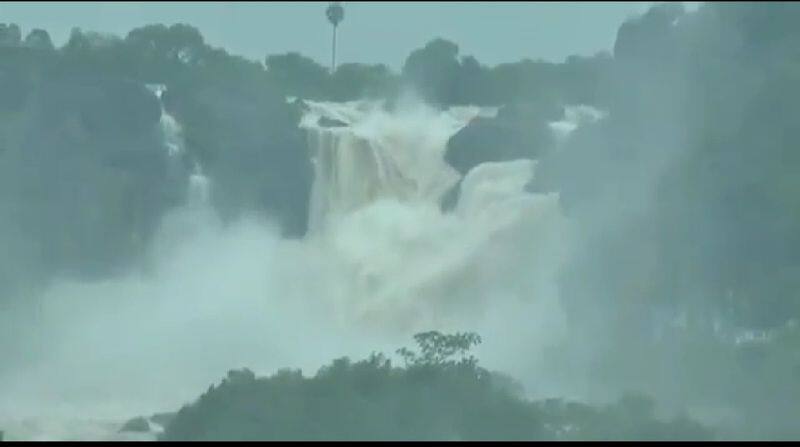 heavy flood in tamirabarani