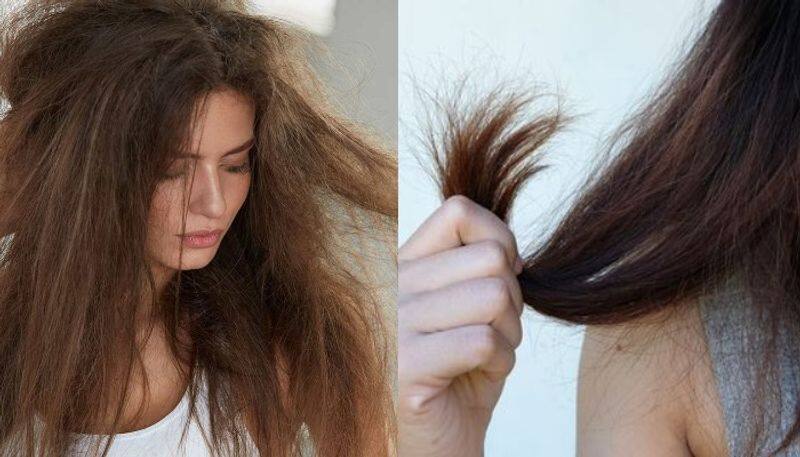 tips to get rid of from dry hair