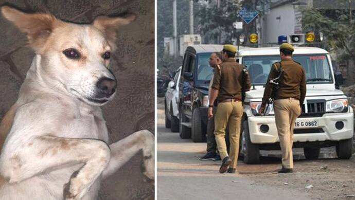 प्रेग्नेंट 'ट्विंकल' की दोनों आंख फोड़ी और बेरहमी से मार डाला...केस दर्ज करने पुलिस ने कहा- राशन कार्ड लाओ