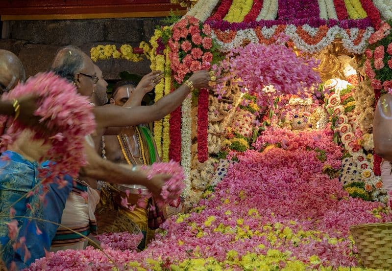 sri padmavathi ammavari pushpa yagam at tirupathi