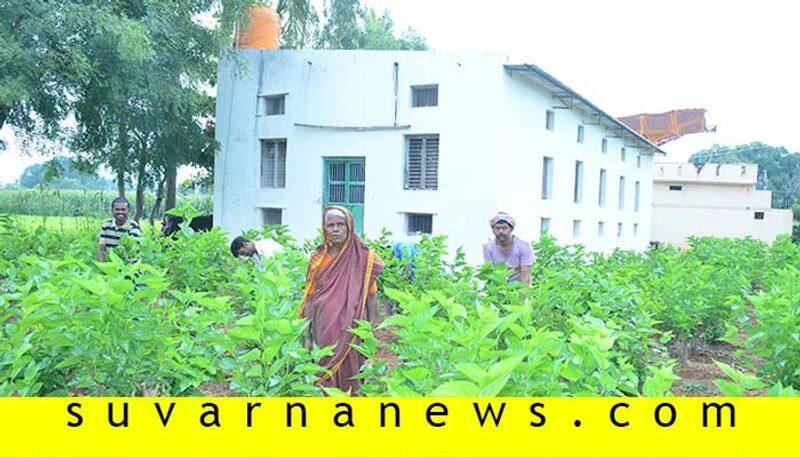 Bellari Kottramma earns In lakhs from Sericulture