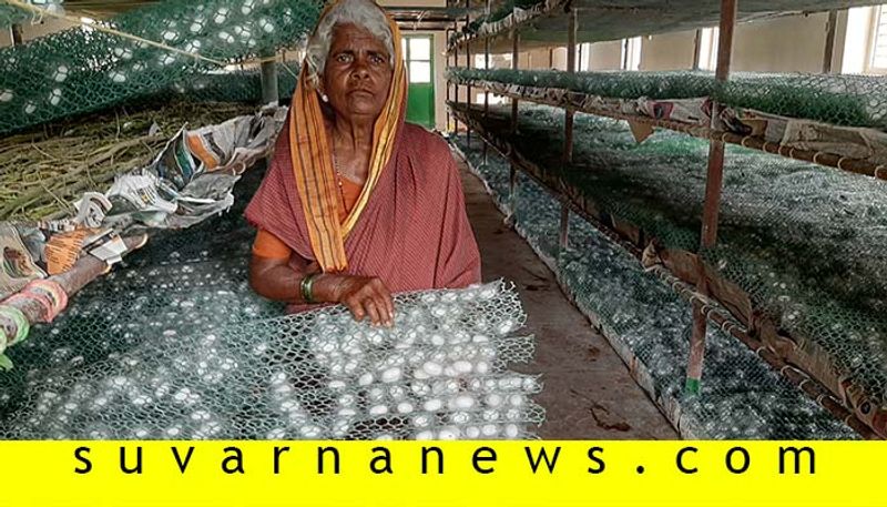 Bellari Kottramma earns In lakhs from Sericulture