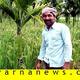 farmer from Shivamogga grows paddy in between areca