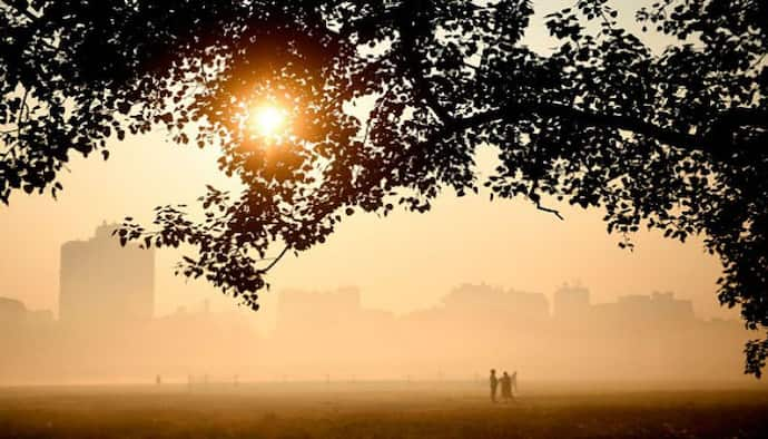 Weather Report Today: রোদ ঝলমলে বছরের প্রথম দিন, ফের বাড়বে তাপমাত্রা