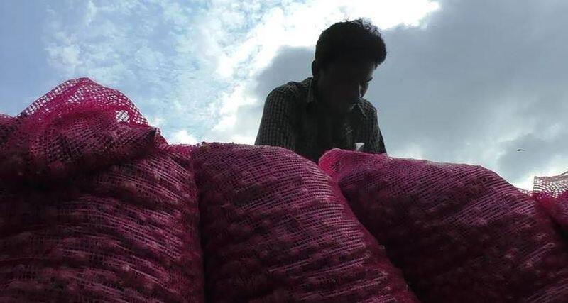 50 thousand worth onions were stolen from a farmer