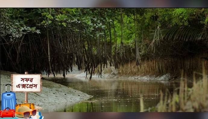 শীতের ছুটিতে সস্তার ট্রিপের খোঁজ, তালিকায় রাখুন সুন্দরবন