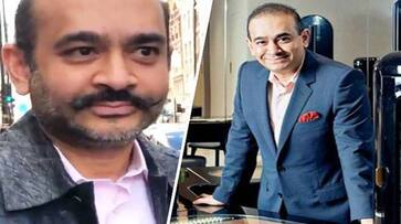 PNB scam: Nirav Modi declared fugitive economic offender by special court in Mumbai