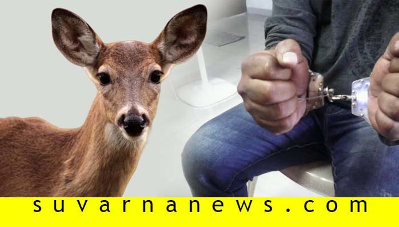 man arrested for cooking deer meat in mysore