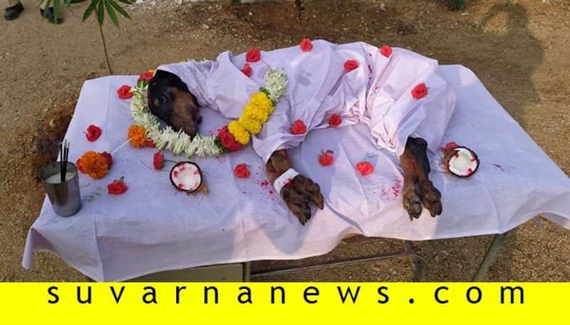 Police Dog Dead in Raichur