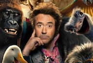 Robert Downey Jr's 'Dr Dolittle' to release in India on January 17