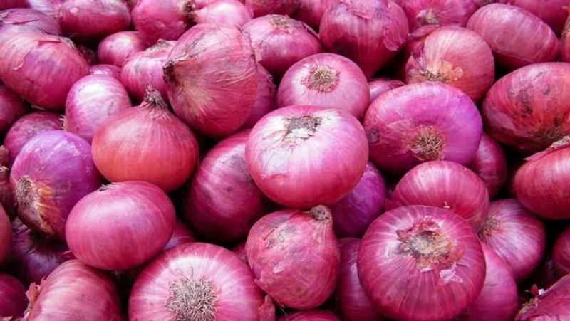 Onion Prices Falls in Gadag APMC