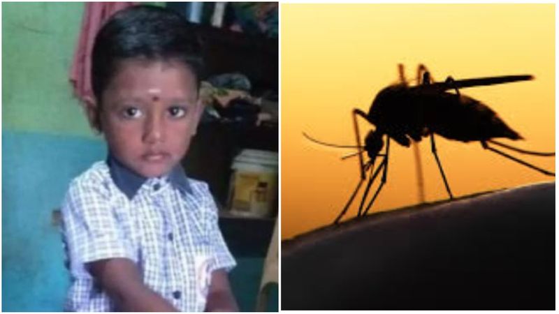 5 year old girl died due to dengue fever