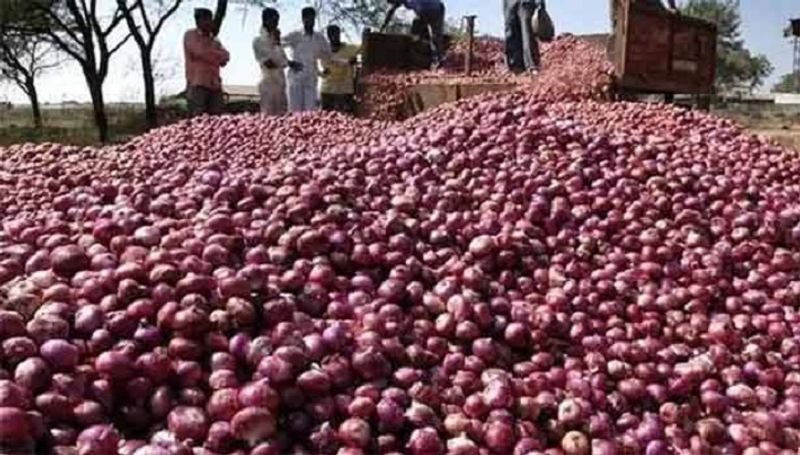 After record high of Rs 100 per kg onion prices cool down across Maharashtra