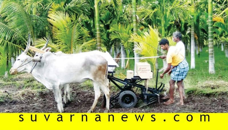 Farmer from mysore grows paddy with less water