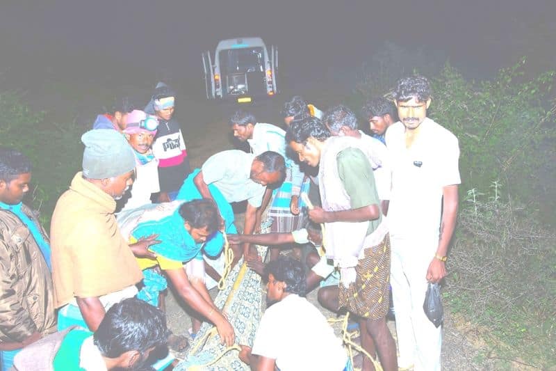 pongal gift items were carried by donkeys