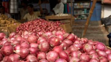 Onions fast breaks, prices are coming down