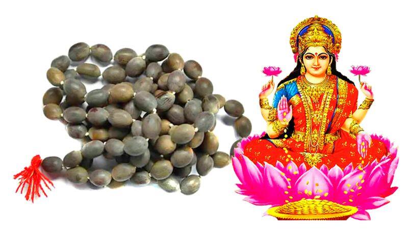 Lakshmi Devi in Shell