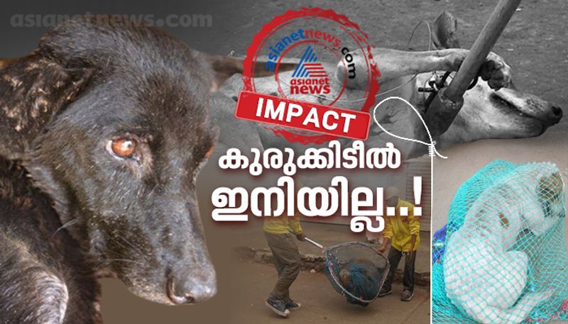 Trivandrum Corporation to use Nets instead of Loops to catch dogs for sterilization