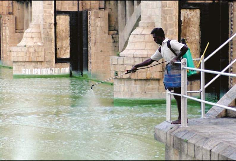 water turned into green cololur in mettur dam