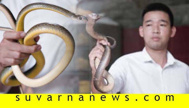 popular snake restaurant beckons adventurous dinners in Hanoi