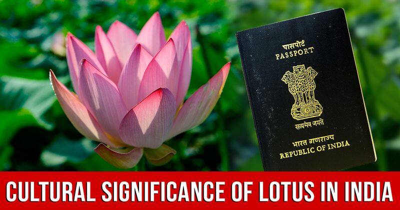 Lotus On Passports Draws Focus On Cultural Significance Of India's National Flower