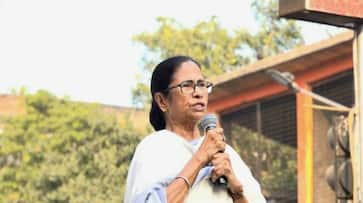 CAA, NRC: Kolkata lawyers, businessmen drag Mamata Banerjee to court over non-implementation