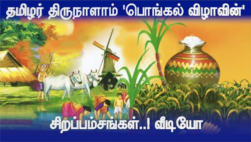 Highlights of Pongal Festival video