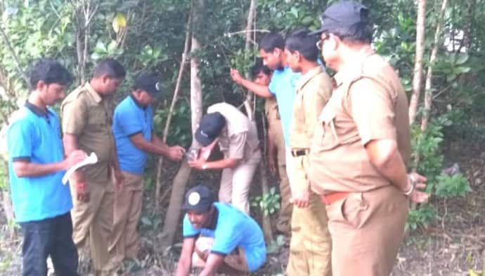 দুর্যোগের পর বাঘের সংখ্য়া কত,  ক্য়ামেরা বসিয়ে গণনার কাজ শুরু সুন্দরবনে