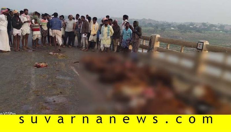 51 Sheeps Dead for Accident in Surapura in Yadgir District