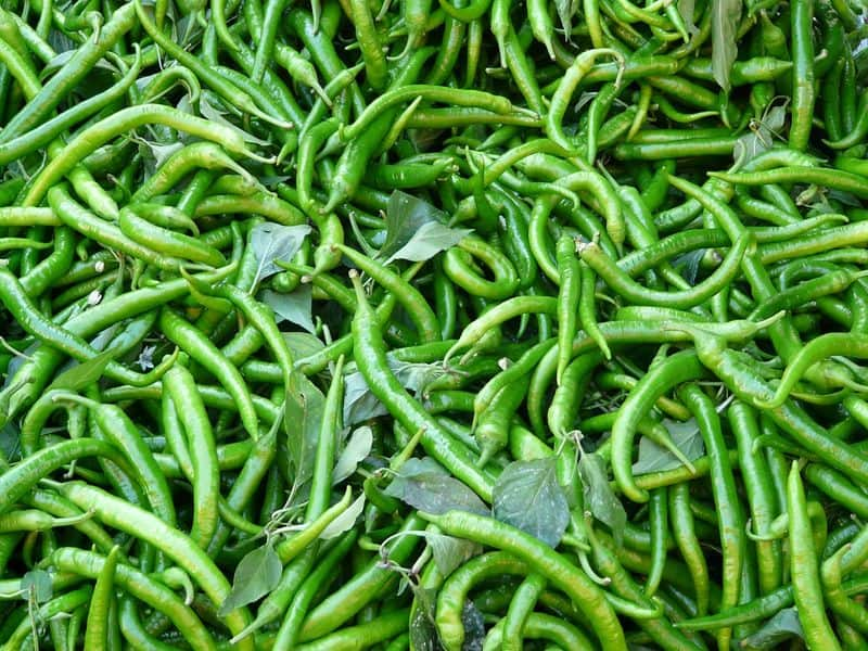 Farmer Destroy the Crop of Chili in Haveri district due to LockDown