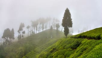 Spend a vacation in Darjeeling with less than Rs 5,000 in your pocket