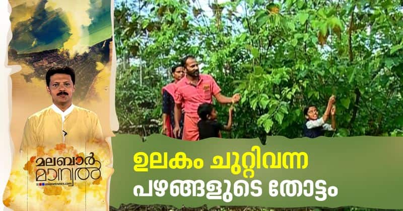 kiran's fruit farm in wayanad